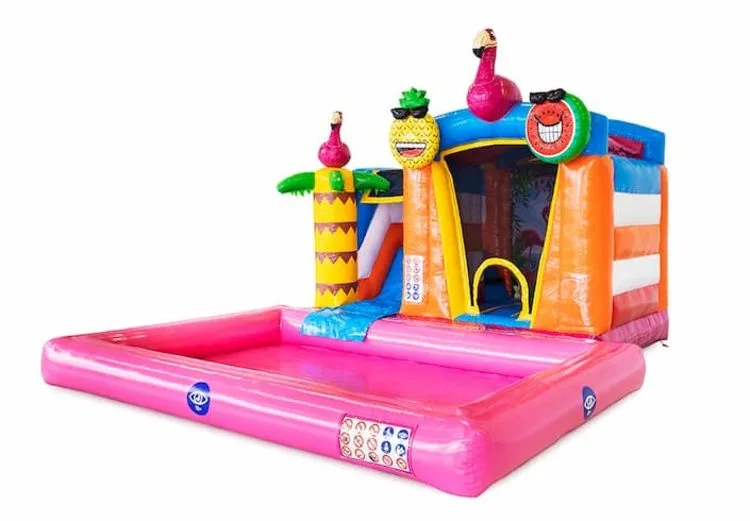 Mini Splash Bounce Flamingo Bouncy Castle — Vic&Thom